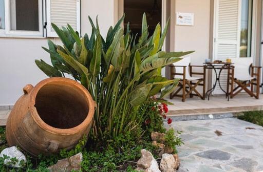 Gennadi Villa Del Mar エクステリア 写真